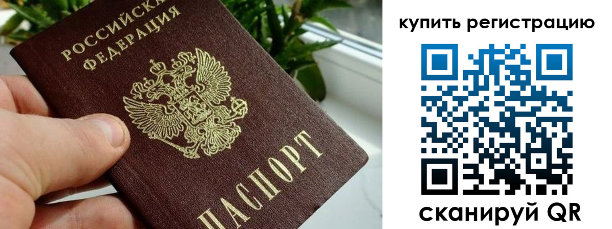 прописка гарантия в Заполярном